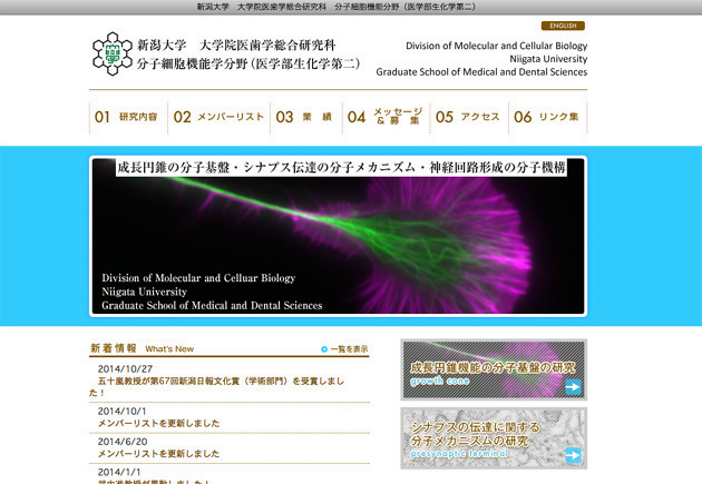 新潟大学大学院医歯学総合研究科分子細胞機能分野（医学部生化学第二）様ホームページ